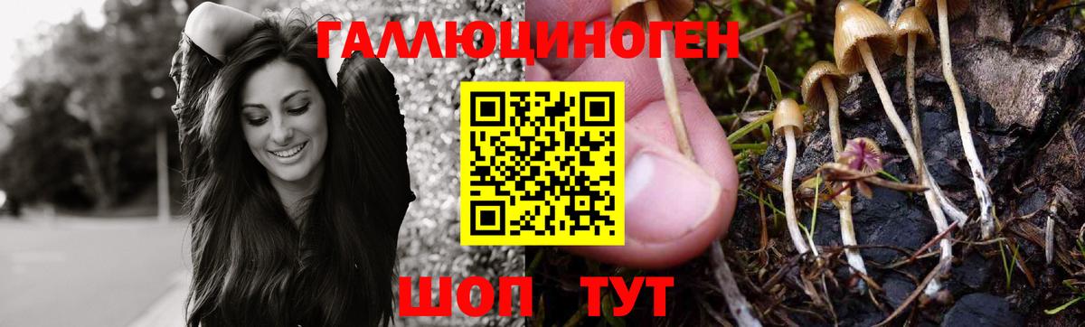 Галлюциногенные грибы Cubensis  Вход с VPN  Галлюциногенные грибы прущие грибы  Бирск 